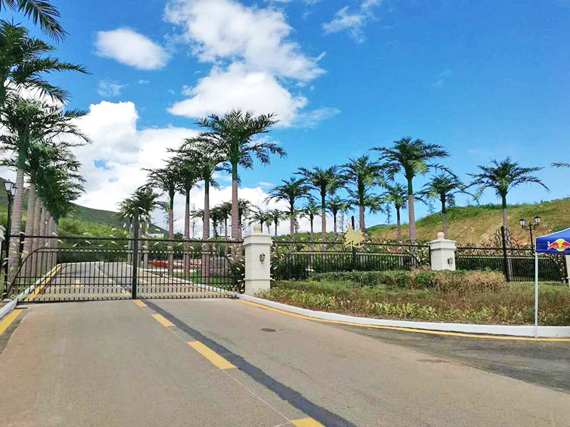 清远仿真树